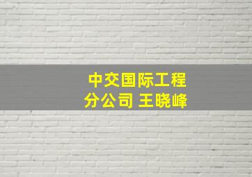 中交国际工程分公司 王晓峰